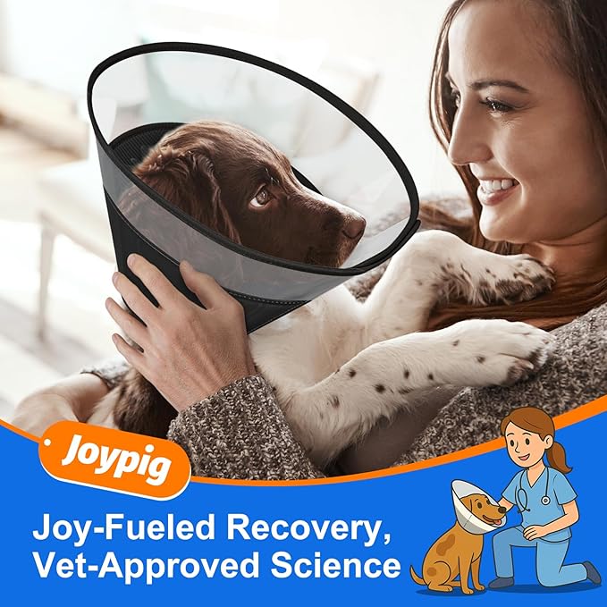 Dog Cone Collar with Soft Pad, Transparent Elizabeth Recovery Collar for Large, Medium, Small Dogs to Stop Licking, Pet Head Cone Alternative After Surgery, Neutering, Injury (M)