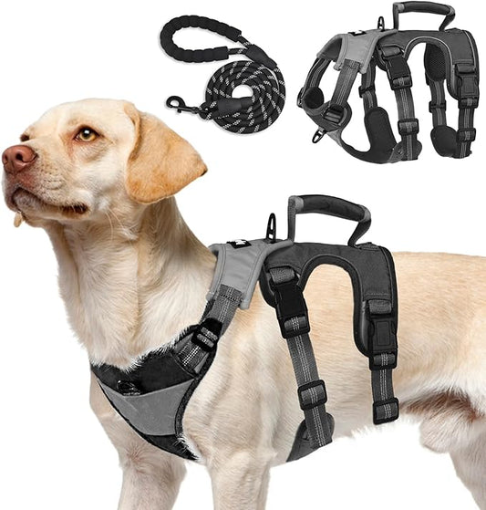 PUPTECK Escape Proof Dog Harness and Leash Set Upgraded No Pull Reflective Dog Vest with Lift Handle, Easy Control Pet Harness for Medium Large Dogs Training Walking Running