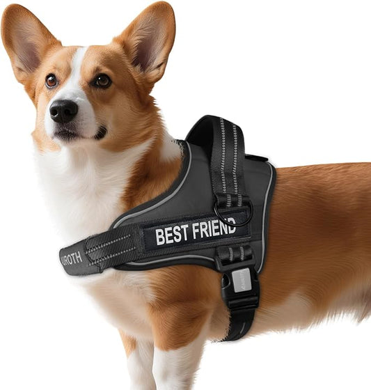 AUROTH Dog Harness No Pull Soft Padded Service Dog Vest, No Choke, Easy On Pet Vest with Handle, Adjustable Reflective Dog Harness for Small, Medium and Large Dogs, Easy Walking and Training