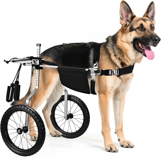 All-Terrain Dog Wheelchair for Back Legs - Lightweight & Adjustable for Medium to Large Dogs - Easy to Assemble Mobility Aid