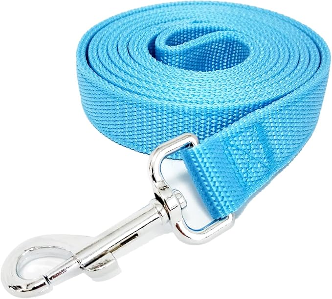 Strong Nylon Dog Leash with 2-Layer, 4 FT/ 6 Feet Long, 1 Inch Wide for Medium Large Dogs (1'' x 7 FT, Sky Blue)