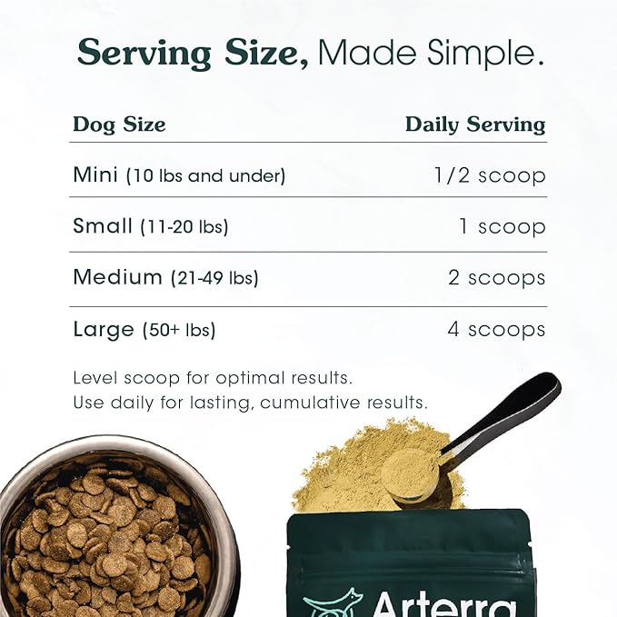 Adult Dog Powder Supplement & Food Topper – 46 Ingredients for Gut, Immune & Brain Health – Daily Longevity Multivitamin for Whole Body Wellness | 30 Scoops