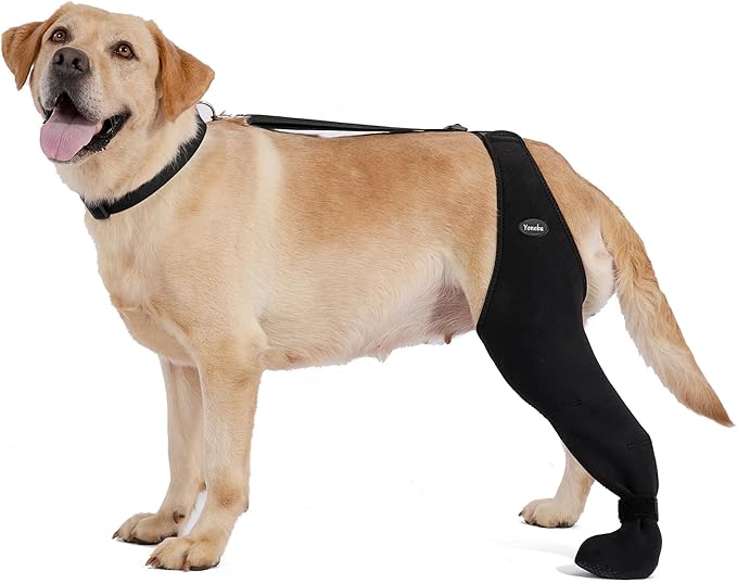 Dog Socks to Prevent Licking Paws ，Breathable Leg Sleeve to Stop Licking and Biting， Firm and Secure Adjustable Size Dog Recovery Sleeve Socks (XL-Left)