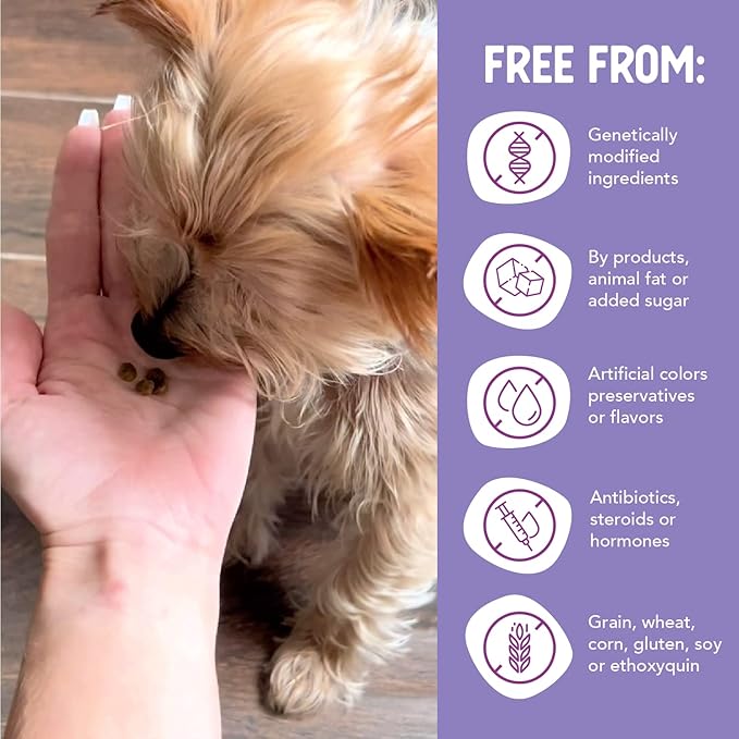 Health Extension Grain Free Salmon Little Bites (3.5 lb / 1.59 kg) - Whole Foods Ingredients Formula with Omega 3 & Probiotics for All Life Stages Dogs