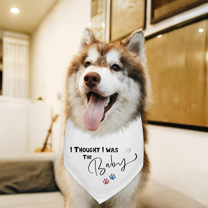 I Thought I was The Baby Pregnancy Announcement Dogs Bandana White Triangle Scarf Dog Bandana Baby Announcement Photo Prop Pet Scarf Accessories for Pet Dog Lovers Gifts
