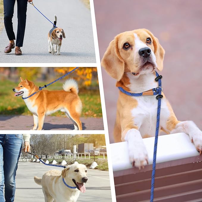lynxking Slip Lead Dog Leash Reflective, Heavy Duty Comfortable Strong Rope for Large Medium Small Dogs No Pull Pet Training (Blue, Small 3/8in x 6ft-Slip Lead)