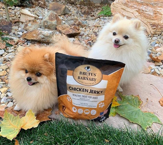 BRUTUS & BARNABY Chicken Jerky Dog Treats- Dehydrated Crunchy USA Premium Fillets, Grain-Free, Preservative-Free, No Fillers. All Natural Chicken Strips are Great for Dogs and Cats (10oz)