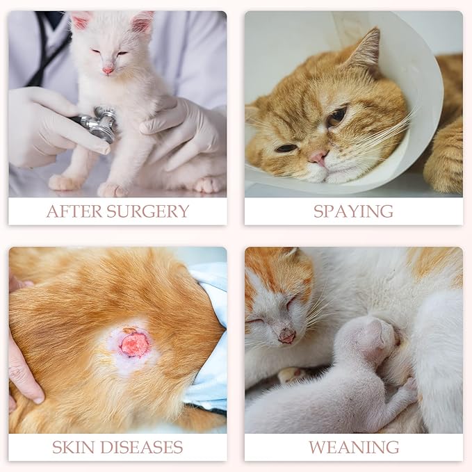 ANWA 2 Pack Cat Recovery Suit - Breathable Cat Onesie for Cats After Surgery Female, Kitten Surgery Recovery Suit Female Abdominal Wounds