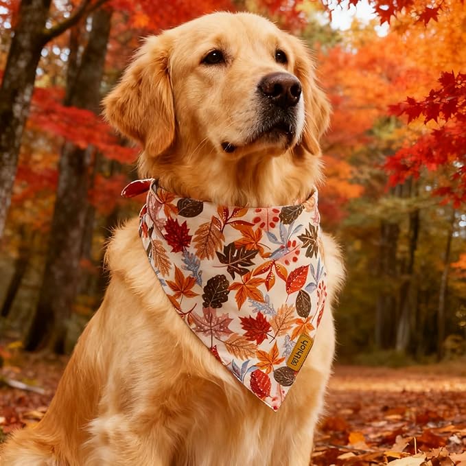 Fall Dog Bandanas - 2 Pack Halloween Thanksgiving Dog Bandana | Reversible Pumpkin and Leaf Pet Scarf | Premium Fabric | Boys & Girls | Holiday Bandana for Large and Extra Large Dogs (X-Large)