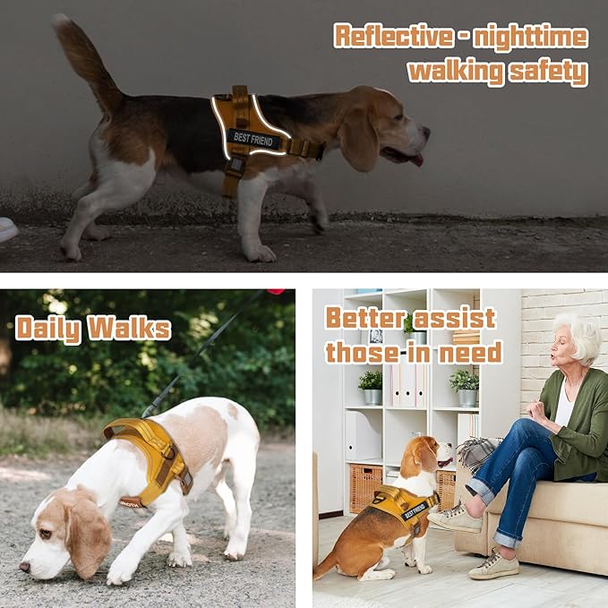 AUROTH Dog Harness No Pull Soft Padded Service Dog Vest, No Choke, Easy On Pet Vest with Handle, Adjustable Reflective Dog Harness for Small, Medium and Large Dogs, Easy Walking and Training