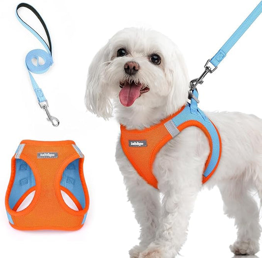 rabbitgoo Dog Harness Small Sized and Leash Set, Step in Soft Light Puppy Vest, Breathable Mesh Pet Harness, Reflective for Safe Easy Walking, Blue & Orange M