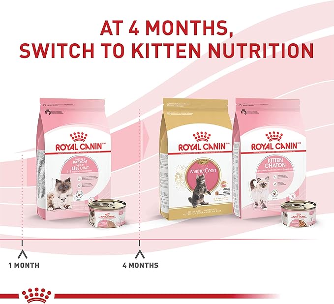 Royal Canin Feline Health Nutrition Mother & Babycat Queen Ultra Soft Mousse in Sauce Cat Food, 3 oz (Pack of 24)
