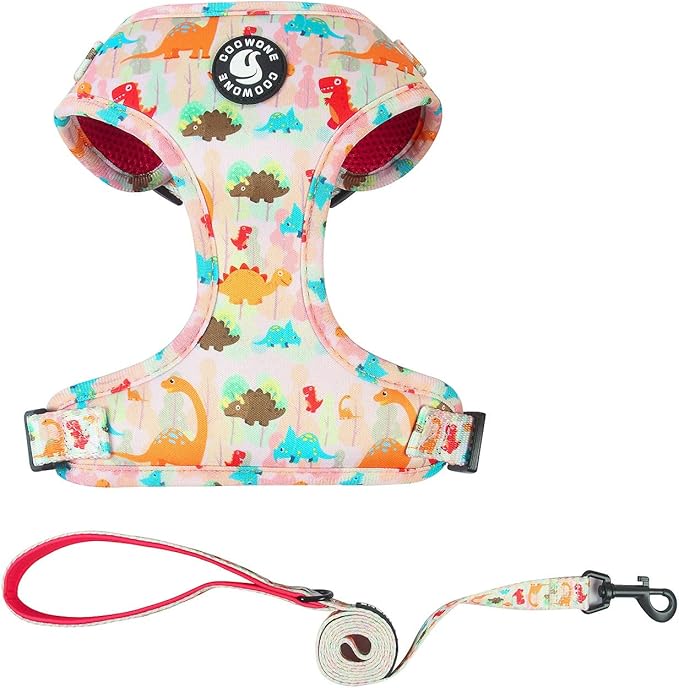 Dog Harness and Leash Set, Adjustable Dog Harness, Dog Leash, No Pull No Choke Puppy Harnesses for Walking Training for Small Medium Pet