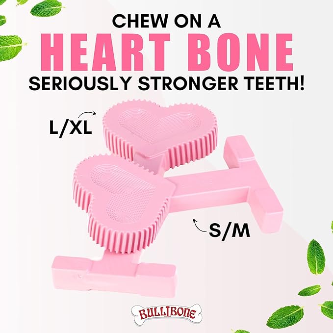 Bullibone Nylon Dog Chew Toy Nylon Bone - Improves Dental Hygiene, Easy to Grip Bottom, and Permeated with Flavor (Peppermint, Large - 3 Pack)