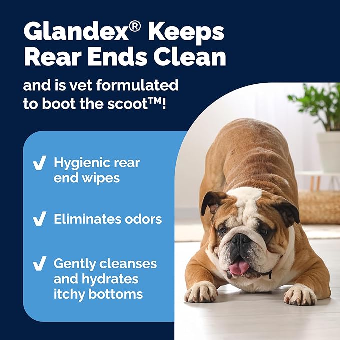 Vetnique Labs Glandex Dog Wipes for Pets Cleansing & Deodorizing Anal Gland Hygienic Dog & Cat Wipes with Vitamin E, Skin Conditioners and Aloe (100ct Pouch)