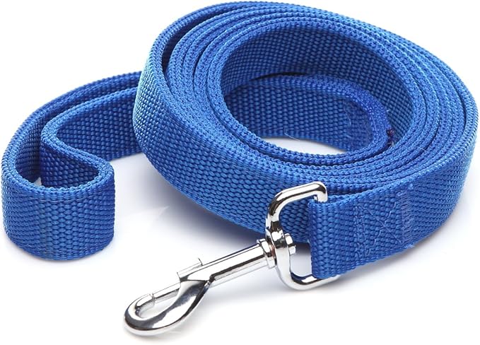 Nylon Dog Leash with 2-Layer, 4 FT/ 6 FT/ 7FT Long, 1 Inch Wide for Medium Large Dogs