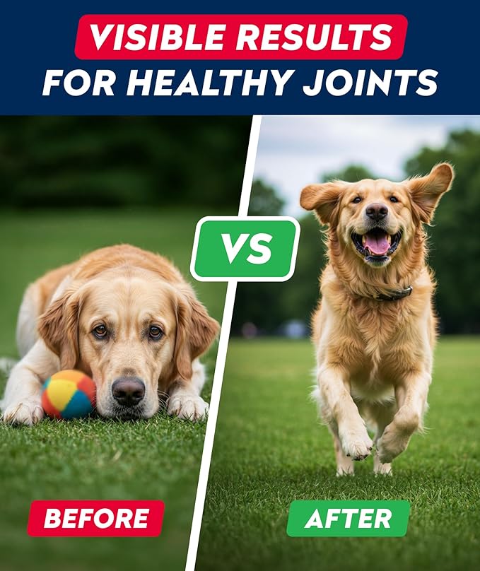 Glucosamine Treats for Dogs - Joint Supplement w/Omega-3 Fish Oil - Chondroitin, MSM - Advanced Mobility Chews - Joint Pain Relief - Hip & Joint Care - Peanut Butter Flavor - 180 Ct - Made in USA