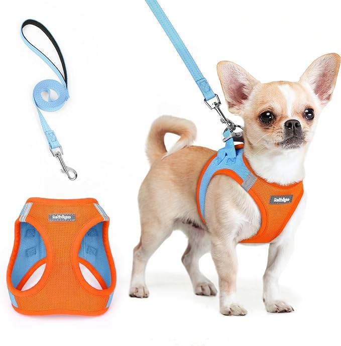 rabbitgoo Dog Harness Small Sized and Leash Set, Step in Soft Light Puppy Vest, Breathable Mesh Pet Harness, Reflective for Safe Easy Walking, Blue & Orange XXS