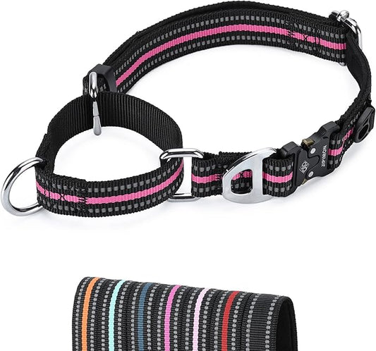 Martingale Dog Collar Reflective Nylon Soft Cushion with Alloy Buckle Dog Collar Martingale Small Medium and Large Dogs (Medium, Purple)