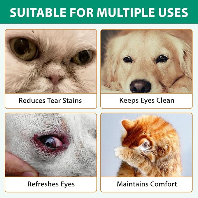 FANSHI Pets Dog Eye Drops Gentle Eye Drops for Dogs and Cats Specially Formulated Eye Wash Relieve Eye Itching & Irritation, Cleansing 100ml/3.38fl Oz