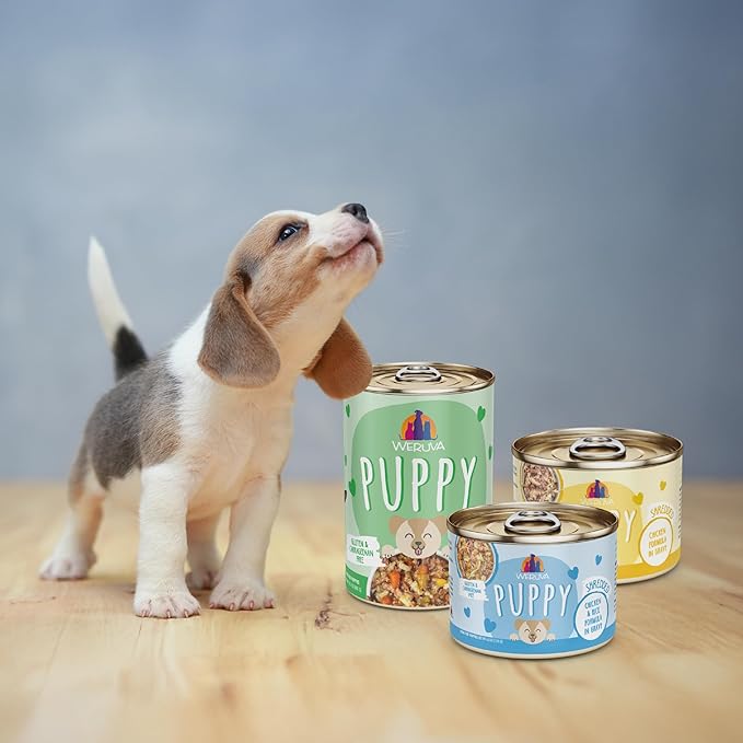 Weruva Puppy, Chicken and Rice Formula in Gravy, 6oz Can, Pack of 8
