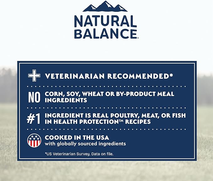 Natural Balance Health Protection Dry Dog Food – Whole Body Health, Easy on Digestion Dog Food Made with Lamb, Brown Rice & Pumpkin for Dogs - 4lbs.