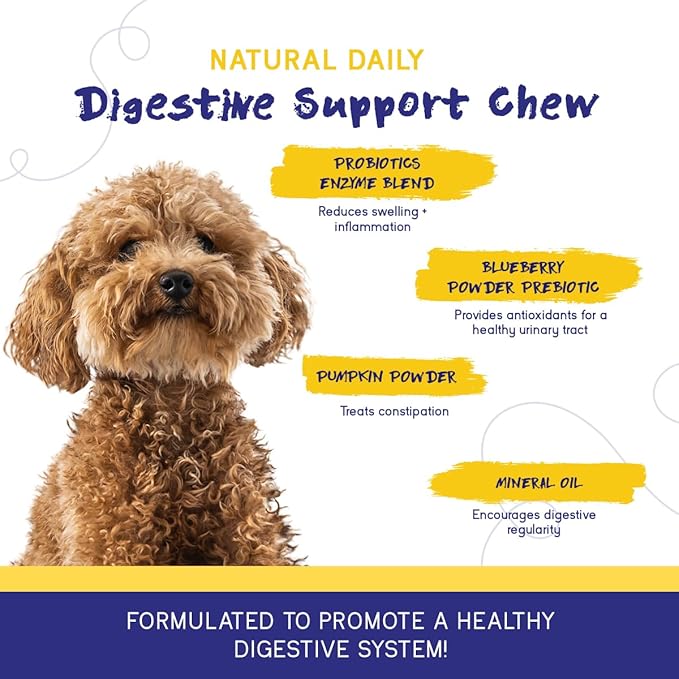PupGrade Digestive Support Chews for Dogs - Prebiotic and Probiotic Supplement with Enzyme Blend - Upset Stomach, Diarrhea, Bowel, and Immune Support - Pumpkin, Blueberry, Mineral Oil - 180 Soft Chews