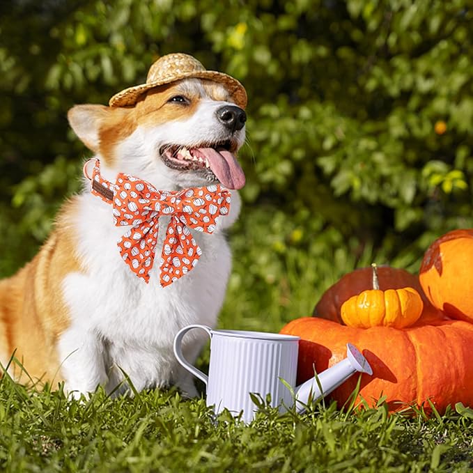 Unique Style Paws Halloween Day Dog Collar with Bowtie Line Pumpkin Cotton Dog Collars for Small Medium Large Dogs