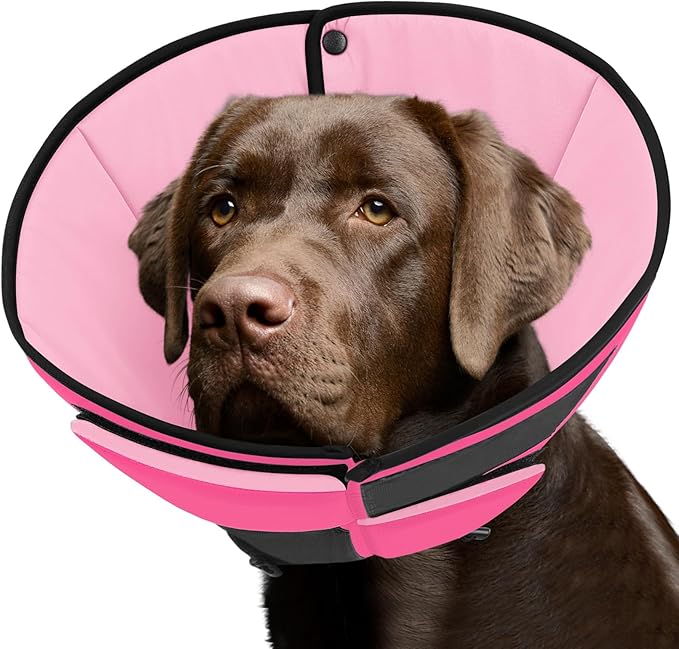 Queenmore Dog Cones for Large Dogs, Soft Dog Cone for Large Breeds, Cone for Dogs After Surgery, Adjustable Elizabethan Collar for Pet to Prevent Licking Wounds, Pink L