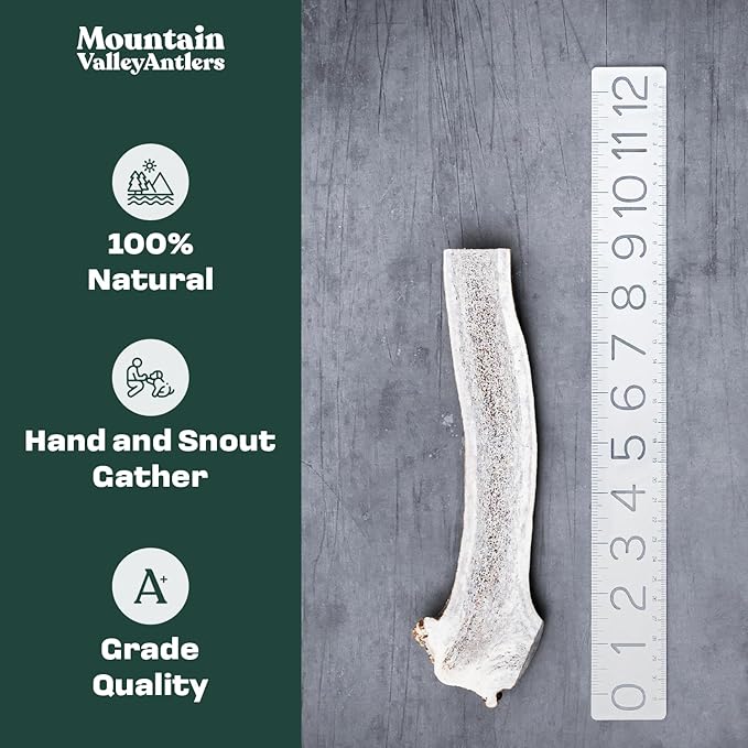 Mountain Valley Elk Antlers for Dogs - 100% Natural & Organic Chew for Aggressive Chewers, No Odor, No Mess, Long Lasting - Wild-Foraged Naturally Shed Antlers in USA - Grade A, Split Small (3 Pack)