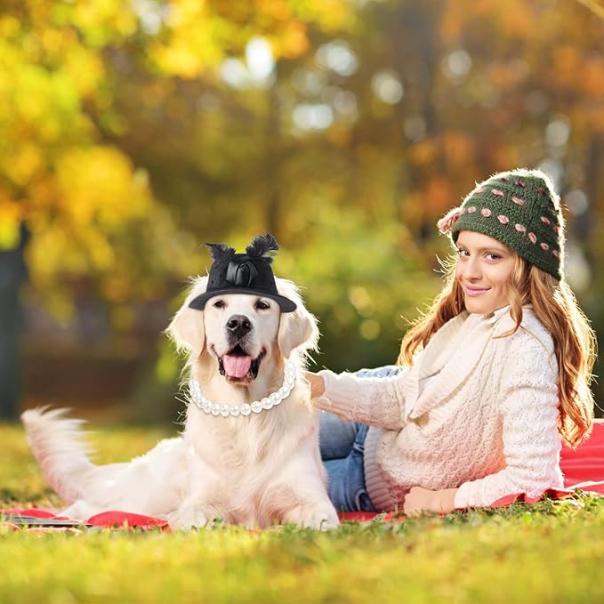 Yewong Formal Top Hat Fascinator Veil Kentucky Derby Hat with Pet Pearl Collar for Christmas Weeding Photo Props Party (Black)