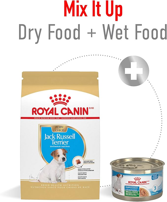 Royal Canin Breed Health Nutrition Jack Russell Terrier Puppy Dry Dog Food, 3 lb Bag