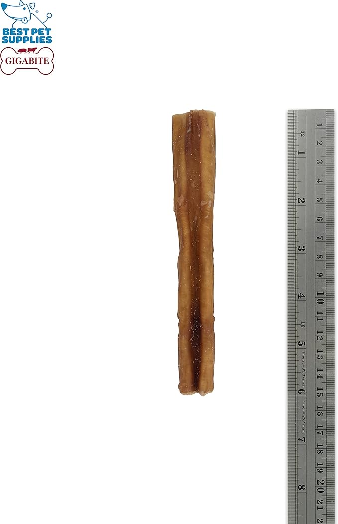 GigaBite Single Ingredient All Natural Free Range Bully Treats and Chews - Bully Sticks/Bladder Sticks/Beef Esophagus by Best Pet Supplies - Bully Sticks (Premium 6"), Pack of 8