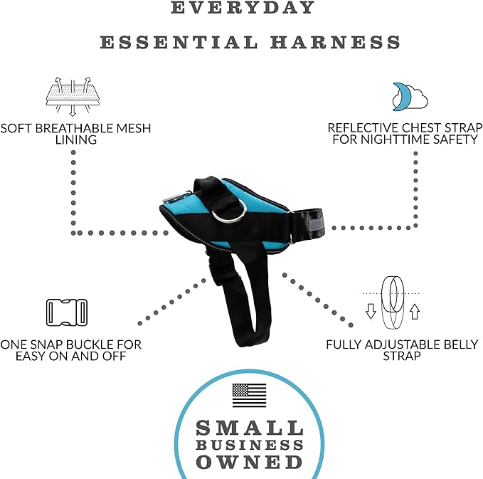 ShawnCo Essential Dog Harness, No-Pull Pet Vest with 3 Leash Clips, No Choke, Reflective, Adjustable and Padded, for Easy Walking and Training for Small, Medium and Large Dogs (Oceanic Blue, S)