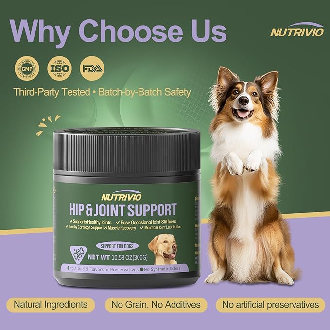 Hip and Joint Supplement for Dogs Chews with Glucosamine Chondroitin for Dog, Turmeric, Omega-3 and Collagen Chews for Dogs – Joint Pain Relief – Large & Small Breed - 300g