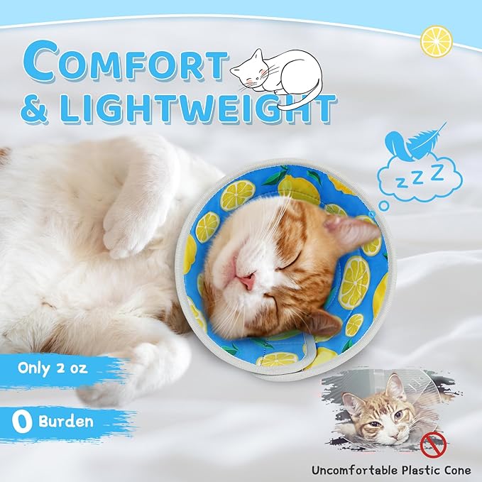 Cat Cone Collar Soft to Stop Licking, Adjustable, Foldable Lightweight Kitten Cones After Surgery Recovery for Cats & Kittens, Cat Cone Alternative (Royal Blue, S)