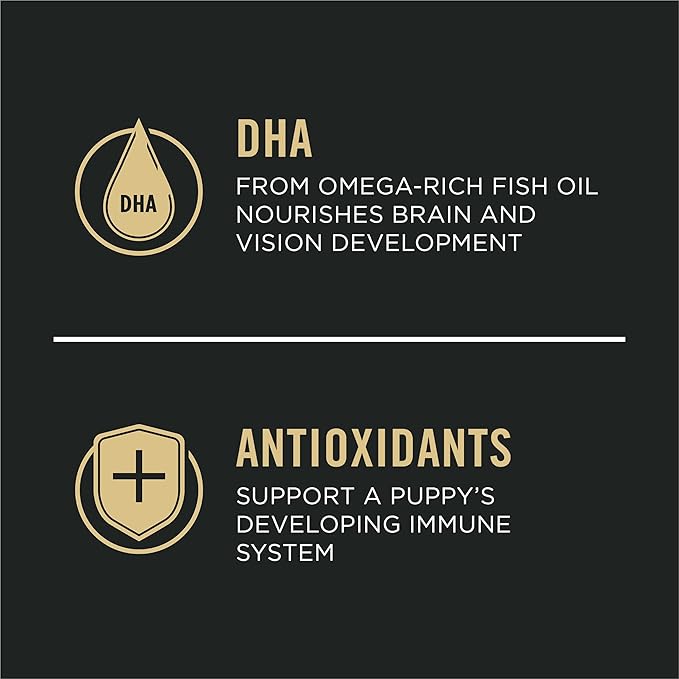 Purina Pro Plan High Protein Dry Puppy Food, Chicken and Rice Formula - 6 lb. Bag