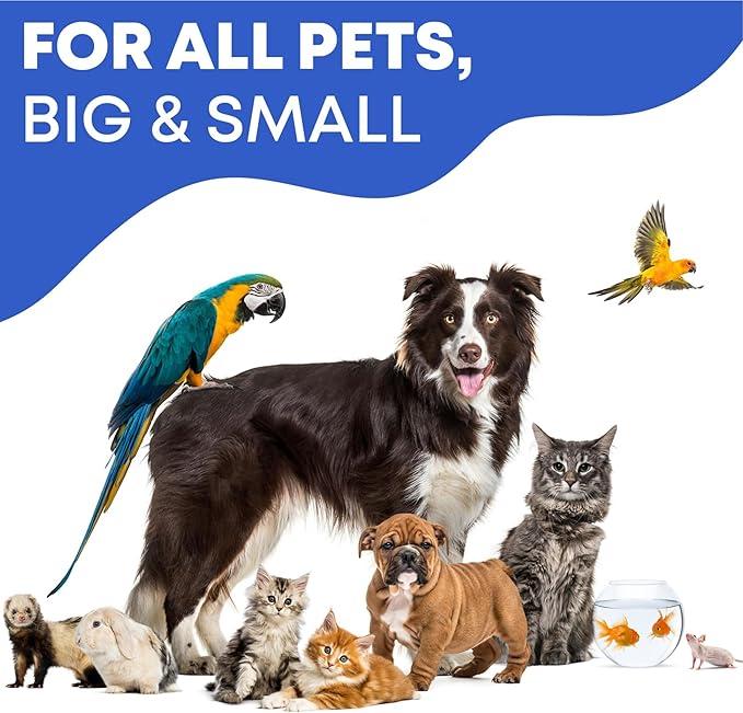 Cat & Dog Ear Cleaner Drops & Wash Solution - Yeast Otic Infection Treatment & Itchy Ear Relief for Pet - Wax Remover & Flush Remedy for Any Pets