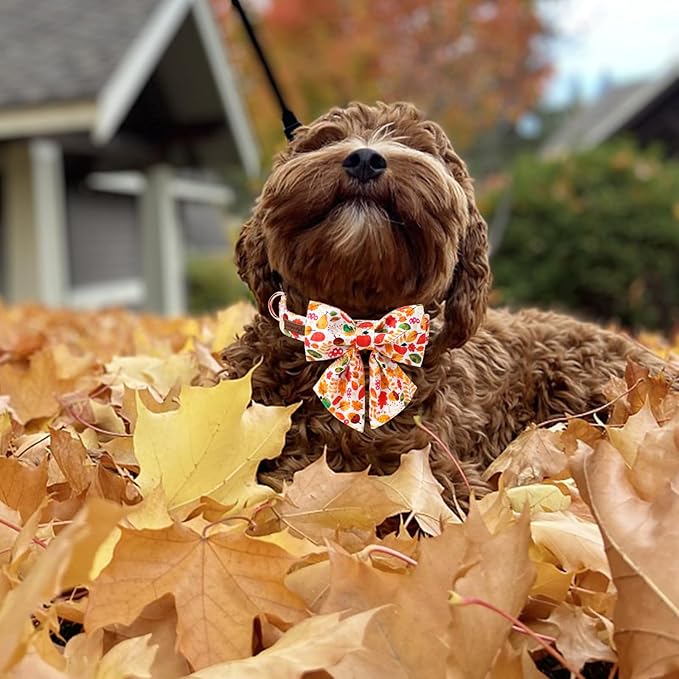 Unique Style Paws Thanksgiving Day Collar with Bowtie Fruit Leaf Flower Fruit Durable Cute Cotton Dog Collars for Small Medium Large Dogs