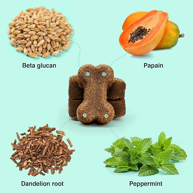 Premium Probiotics for Dogs with Digestive Enzymes & Fiber | Duck Flavor Soft Chews for Itchy Skin, Ear Health, Gut & Immune Support (Pork)