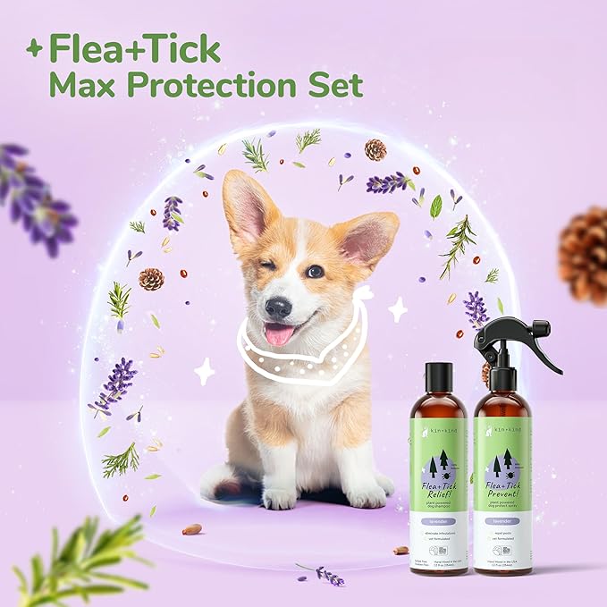 kin+kind Flea and Tick Spray and Shampoo Kit- Shampoo and Spray Set- Shampoo for Dogs, Spray for Dogs- for Tick and Flea Control Shampoo and Repel Spray- Lavender, 12 oz Each