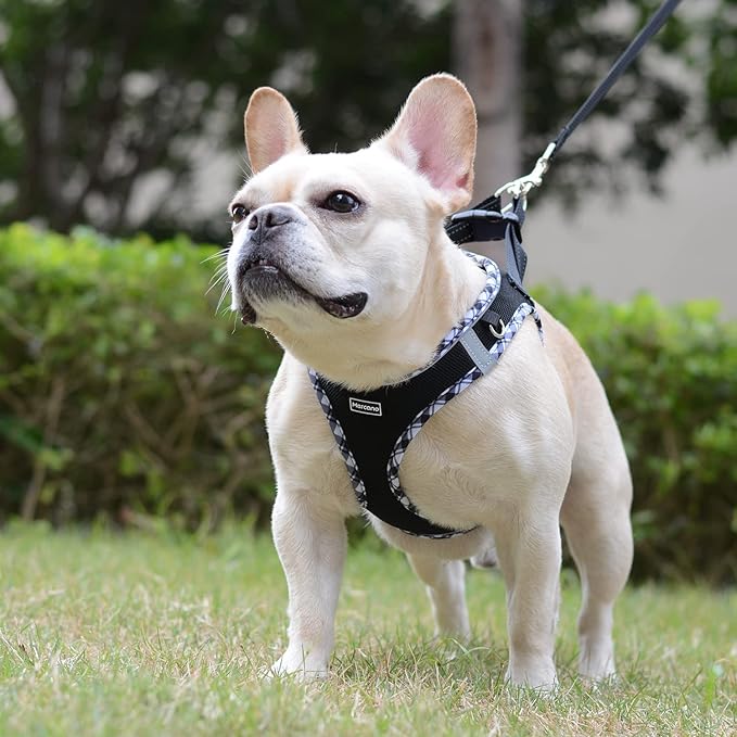 Mercano Soft Mesh Dog Harness and Leash Set, No-Chock Step-in Reflective Breathable Lightweight Easy Walk Vest Harnesses with Safety Buckle for Small Dogs, Cats (Black White, XL)