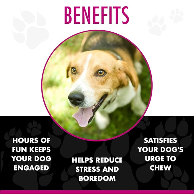 Chase 'n Chomp Dog Amazing Squeaker Ball Toy for Pets, Molecule, 2.5 Inch small Breeds