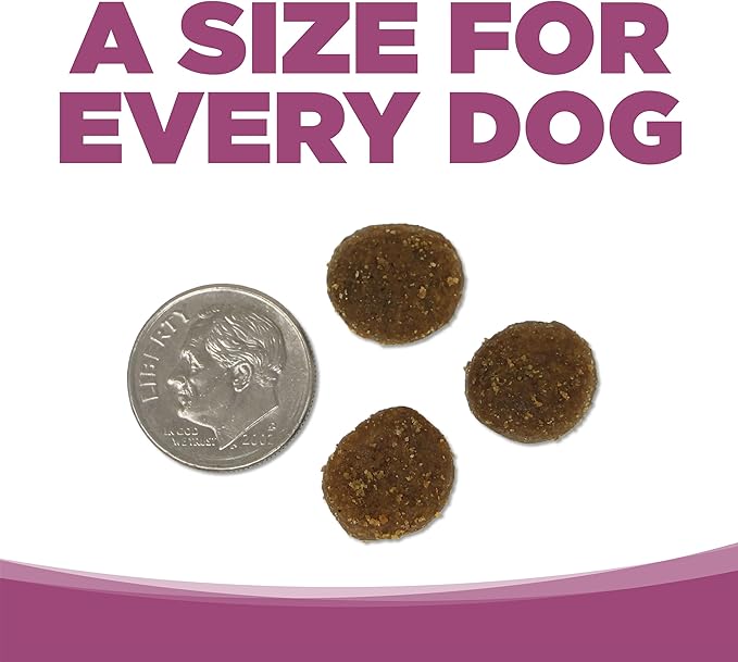 NutriSource Element Series Wild Range Dry Dog Food, Chicken, Pork & Bison, 4LB