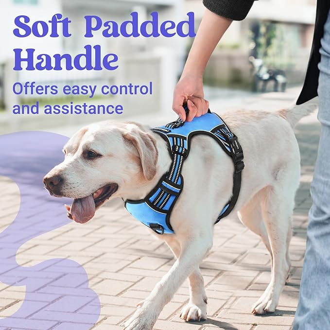 rabbitgoo Dog Harness for Large Dogs, No Pull Pet Harness with Soft Padded Handle, Adjustable Reflective Vest with 3 Buckles, Easy Walking Harness with 2 Leash Clips, Light Blue, L