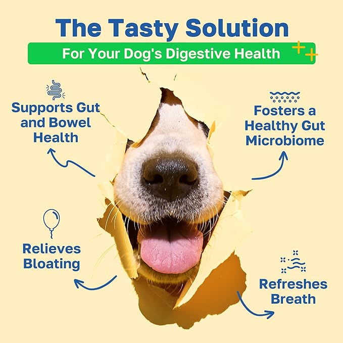 Happy Paws Probiotic Supplement for Dogs, Gut, Skin, Coat & Immune Support for All Breeds & Ages, Made with Coconut Oil & Vitamin E, Vegan Chicken Flavor, Organic, Non GMO, 100 Soft Chews