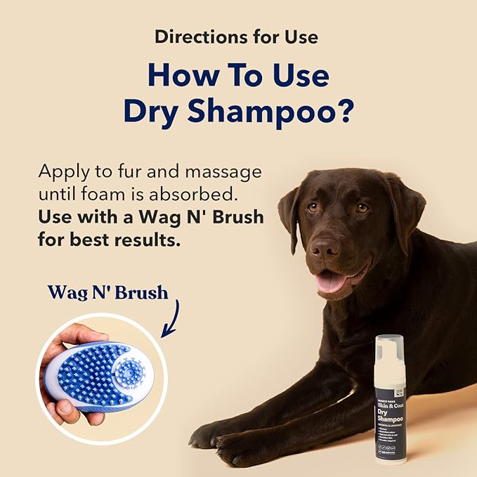 Honest Paws Dog Dry Shampoo - Waterless No Rinse Foaming Formula Reducing Itch Cleanse Hydrate Nourish Dry Skin and Smelly Coat Help Decrease Odor Shedding and Allergies - Oatmeal & Lavender - 6.3 oz