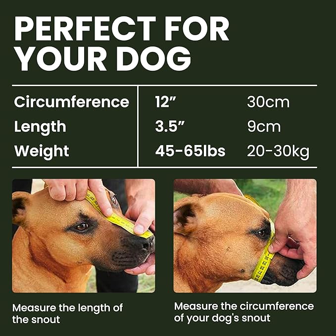 BRONZEDOG Dog Muzzle Wire Basket Metal Mask for Small, Medium and Large Dogs, Breathable, Dog can Drink, Adjustable, Padded, Training, Prevents Biting (Size 4: Pitbull & Amstaff)