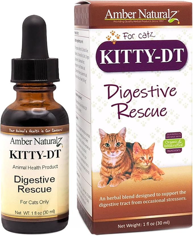 Amber NaturalZ Kitty-DT Digestive Rescue Herbal Supplement for Cats | Supports Normal Digestive Function and Occasional Gastric Upsets | Natural Aid for Gastrointestinal Health