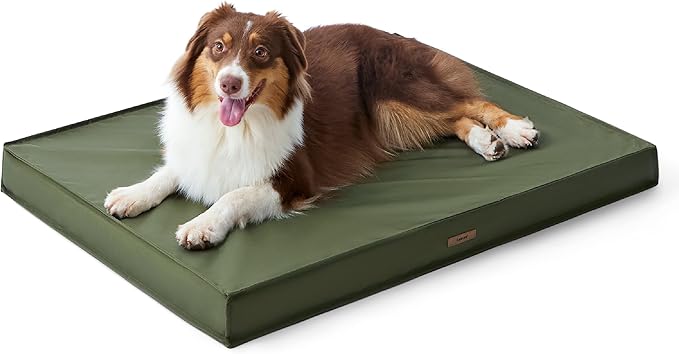 LE SURE Outdoor Waterproof Dog Bed Medium Size Dogs, Orthopedic Egg Crate Foam Pet Bed with Oxford Fabric Surface and Removable Washable Cover, Pet Mat 30''x20'', Green